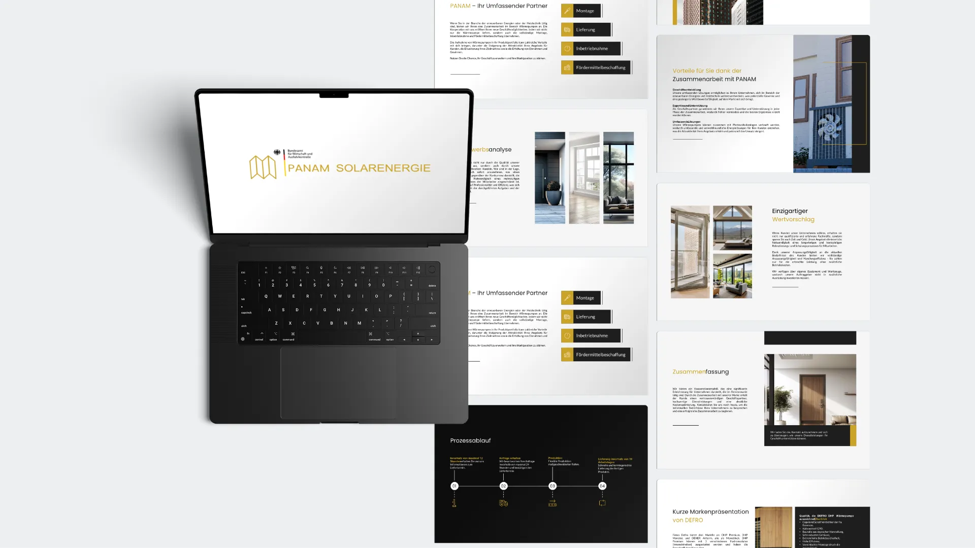 Realizacja pracy w portfolio - współpraca z firmą Panam